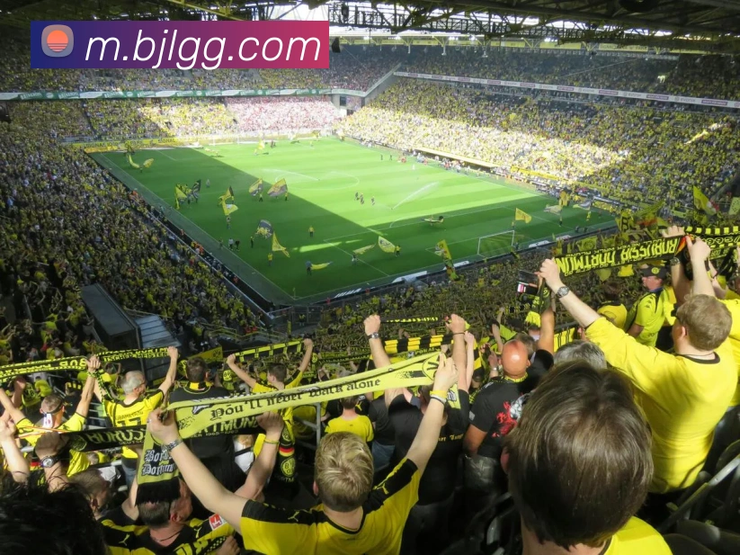 百家乐网站品牌故事