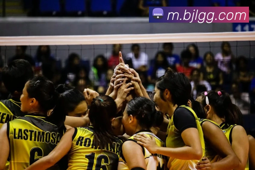 百家乐网站服务体系